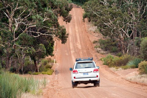 Small-Group Kangaroo Island 4WD Tour From Adelaide - Great Ocean Road Restaurant 3
