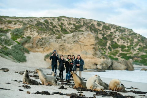 Small-Group Kangaroo Island 4WD Tour From Adelaide - Great Ocean Road Restaurant 4