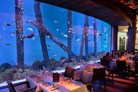 Cairns Aquarium And Small Group City Sightseeing Tour - Great Ocean Road Restaurant 4
