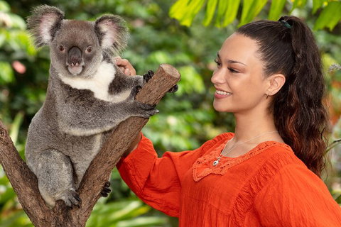 Kuranda Wildlife Experience Three Attraction Pass - Great Ocean Road Restaurant 4