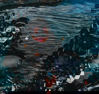 Cairns Aquarium Dive with the Sharks - Great Ocean Road Restaurant