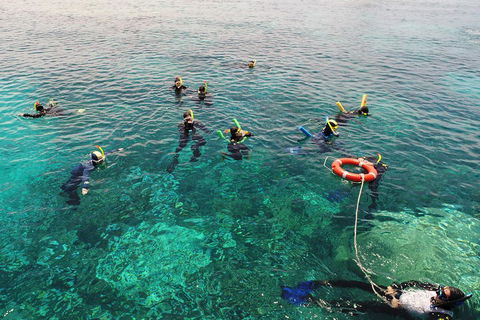 Seastar Luxury Outer Great Barrier Reef Island And Reef Tour From Cairns - Great Ocean Road Restaurant 2