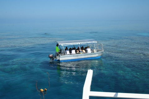 Seastar Luxury Outer Great Barrier Reef Island And Reef Tour From Cairns - Great Ocean Road Restaurant 5