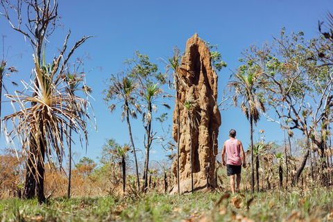 Litchfield National Park Waterfalls And Wildlife Tour From Darwin - Great Ocean Road Restaurant 4