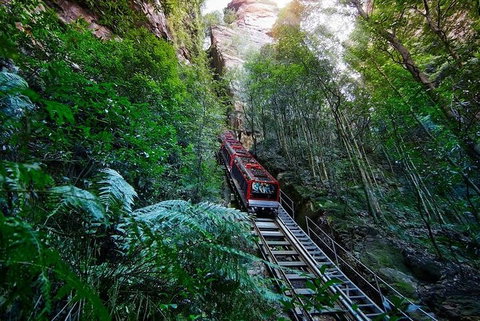 Blue Mountains Private Tour With Kangaroos & Koala Encounter - Great Ocean Road Restaurant 1