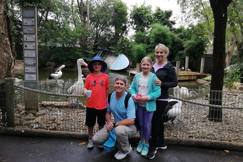 Blue Mountains Private Tour With Kangaroos & Koala Encounter - Great Ocean Road Restaurant 4