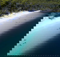 All-Inclusive Fraser Island Day Tour - Great Ocean Road Restaurant