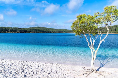 Lake McKenzie Full-Day Tour With Lunch From Hervey Bay - Great Ocean Road Restaurant 1