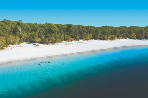 Lake McKenzie Full-Day Tour With Lunch From Hervey Bay - Great Ocean Road Restaurant 4