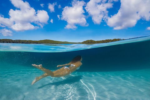 Lake McKenzie Full-Day Tour With Lunch From Hervey Bay - Great Ocean Road Restaurant 5