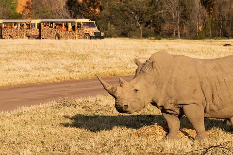 Sunset Safari At Werribee Open Range Zoo - Great Ocean Road Restaurant 1
