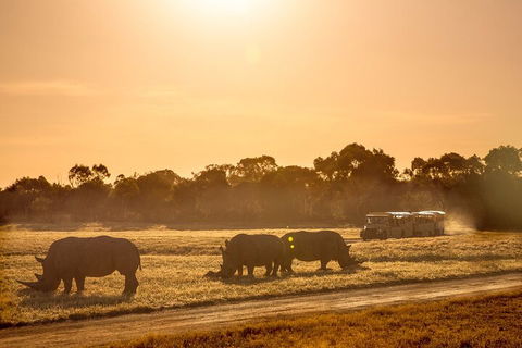 Sunset Safari At Werribee Open Range Zoo - Great Ocean Road Restaurant 2