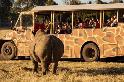 Sunset Safari At Werribee Open Range Zoo - Great Ocean Road Restaurant 5