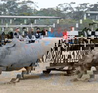 Off-Road Safari at Werribee Open Range Zoo - Great Ocean Road Restaurant