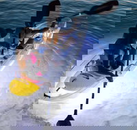 2-Day Moreton Island Tour from Brisbane or Gold Coast with Optional Nighttime Kayaking - Great Ocean Road Restaurant