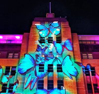 Vivid 90-Minute Sydney Harbour Small Group Catamaran Cruise - Great Ocean Road Restaurant