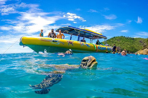 Great Barrier Reef Scenic Flight And Ocean Rafting Whitehaven Beach Day Trip - Great Ocean Road Restaurant 1