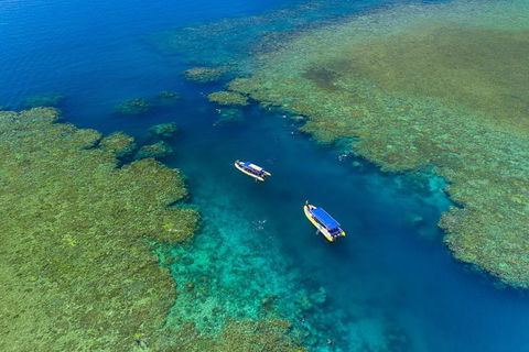 Great Barrier Reef Scenic Flight And Ocean Rafting Whitehaven Beach Day Trip - Great Ocean Road Restaurant 4