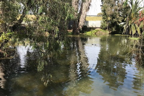 Perth East Foreshore And City Segway Tour - Great Ocean Road Restaurant 1