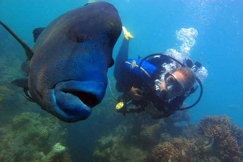 2 Night Whitsunday Islands Cruise On New Horizon From Airlie Beach - Great Ocean Road Restaurant 4