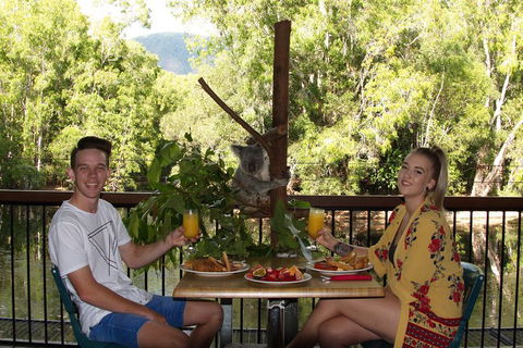 Hartley's Crocodile Adventures Breakfast With The Koalas - Great Ocean Road Restaurant 5