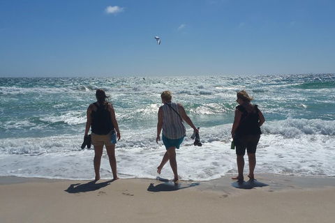 Very Best Of Perth Tour - Wildlife Park & City Highlights Tour - Great Ocean Road Restaurant 5