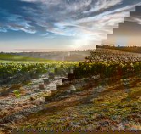 Perth to Margaret River Wine Tour - 2 Day Premium Boutique Wine Tour Experience - Great Ocean Road Restaurant
