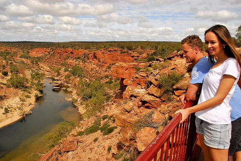 4-Day Coastal Loop Via Monkey Mia Wild Dolphins Kalbarri Pinnacles Perth Return - Great Ocean Road Restaurant 3