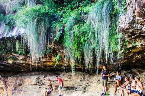 Sunset Blue Mountains Wilderness & Wildlife Tour Without The Crowds - Great Ocean Road Restaurant 1