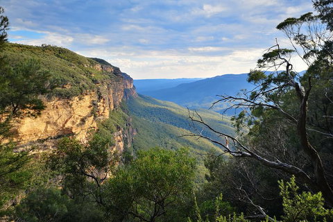 Sunset Blue Mountains Wilderness & Wildlife Tour Without The Crowds - Great Ocean Road Restaurant 2