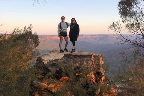 Sunset Blue Mountains Wilderness & Wildlife Tour Without The Crowds - Great Ocean Road Restaurant 3