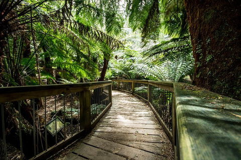 Melbourne To Adelaide South East Coast 3 Day Overland Tour - Great Ocean Road Restaurant 1