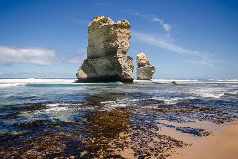Melbourne To Adelaide South East Coast 3 Day Overland Tour - Great Ocean Road Restaurant 2