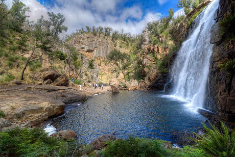 Melbourne To Adelaide South East Coast 3 Day Overland Tour - Great Ocean Road Restaurant 4