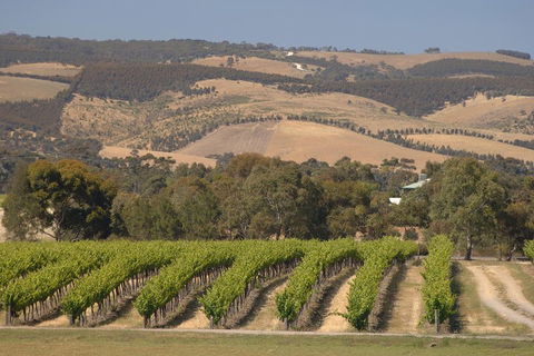 McLaren Vale And Glenelg Wine Tasting And Sightseeing (Half-day Afternoon) - Great Ocean Road Restaurant 2