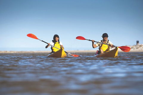 Kangaroo Island Self-Guided Kayaking On The Harriet River - Great Ocean Road Restaurant 2