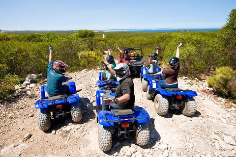 Kangaroo Island Quad Bike (ATV) Tours - Great Ocean Road Restaurant 3