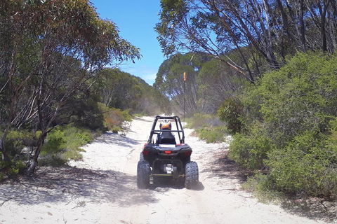 Kangaroo Island Quad Bike (ATV) Tours - Great Ocean Road Restaurant 4