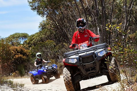 Kangaroo Island Quad Bike (ATV) Tours - Great Ocean Road Restaurant 5