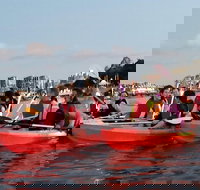 Brisbane River Guided Evening Tour by Kayak - Our Most Popular Tour - Great Ocean Road Restaurant