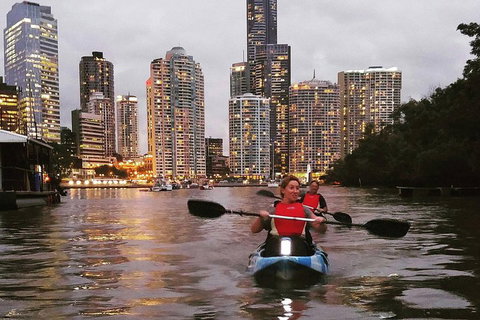 Brisbane River Guided Evening Tour By Kayak - Our Most Popular Tour - Great Ocean Road Restaurant 3