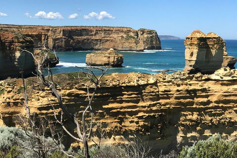 Great Ocean Road Reverse Itinerary Tour - Great Ocean Road Restaurant 1