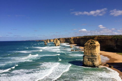 Great Ocean Road Reverse Itinerary Tour - Great Ocean Road Restaurant 4