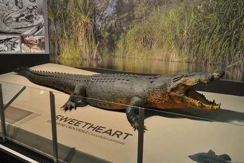 Explore Darwin City Sights Including Key Attractions - Great Ocean Road Restaurant 2