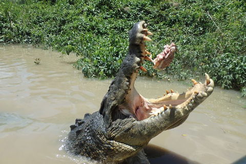 Litchfield And Jumping Crocodiles Full Day Trip From Darwin - Great Ocean Road Restaurant 3