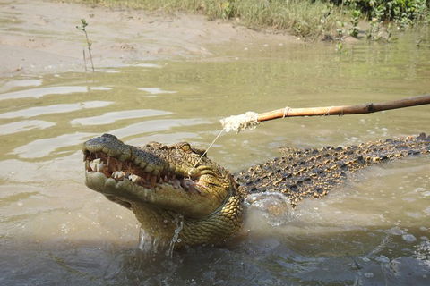 Litchfield And Jumping Crocodiles Full Day Trip From Darwin - Great Ocean Road Restaurant 4