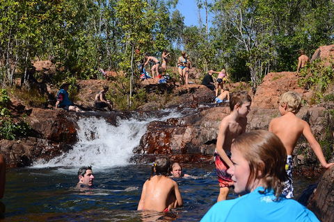 Litchfield And Jumping Crocodiles Full Day Trip From Darwin - Great Ocean Road Restaurant 5