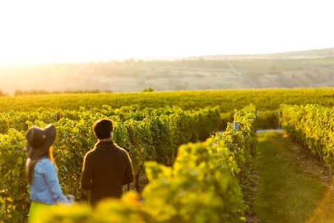 Margaret River Private Tour - Great Ocean Road Restaurant 2