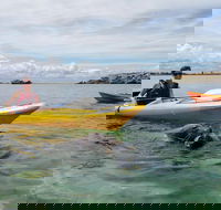 Seal Island and Penguin Island or Point Peron Sea Kayak Tour - Great Ocean Road Restaurant
