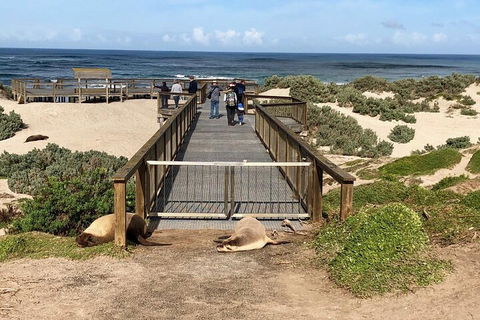Kangaroo Island 4WD Tour - Best Of KI - Great Ocean Road Restaurant 2